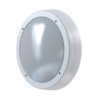 Solaris White